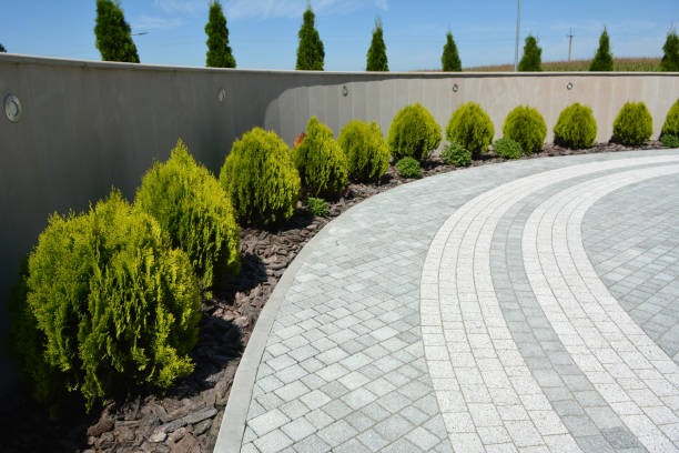 Best Residential Paver Driveway  in Marion, TX